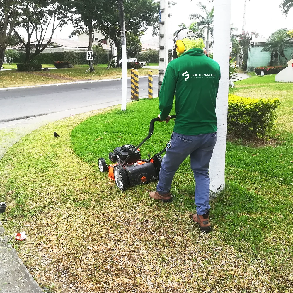Mantenimiento de áreas verdes - SolutionPlus-3