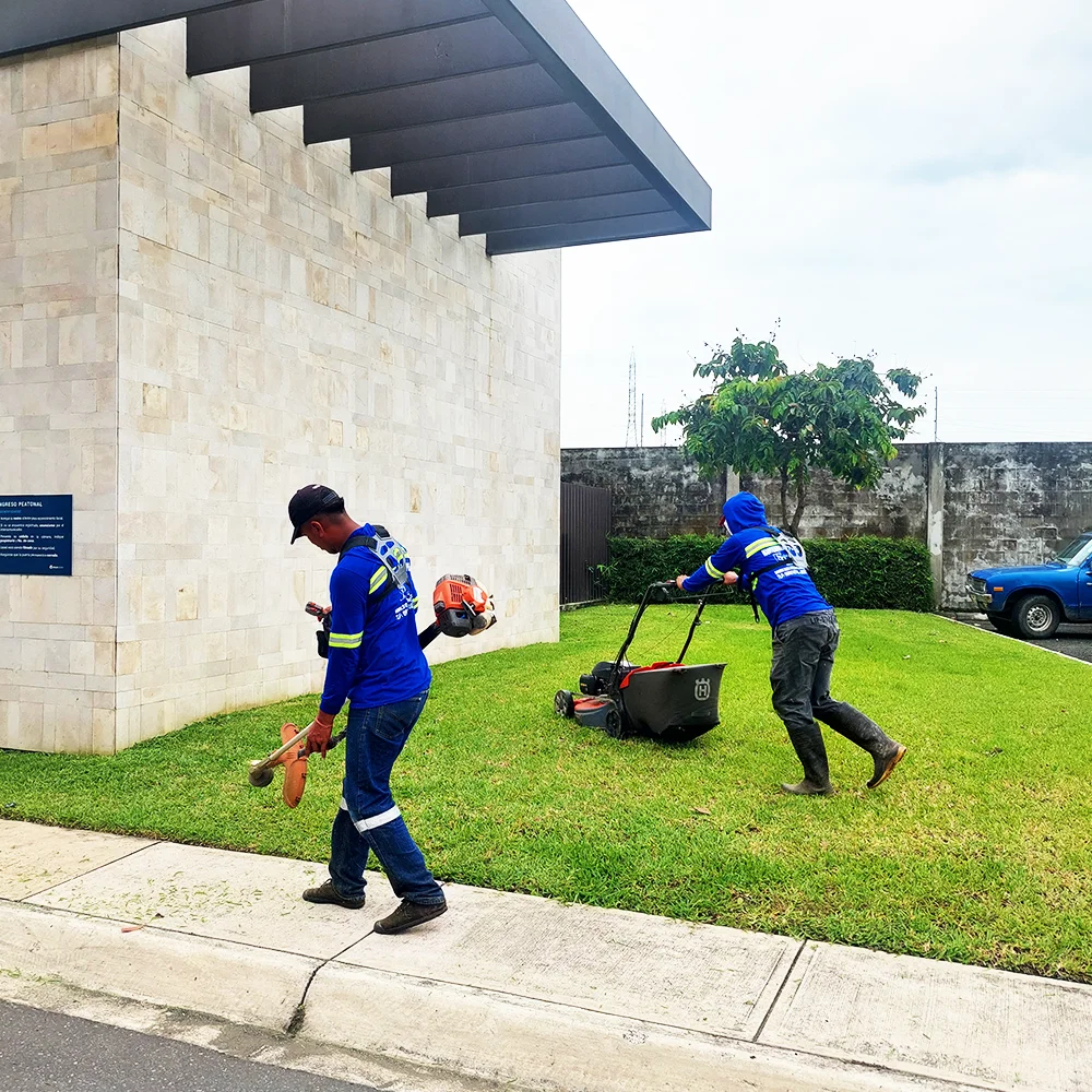 Mantenimiento de áreas verdes - SolutionPlus-4